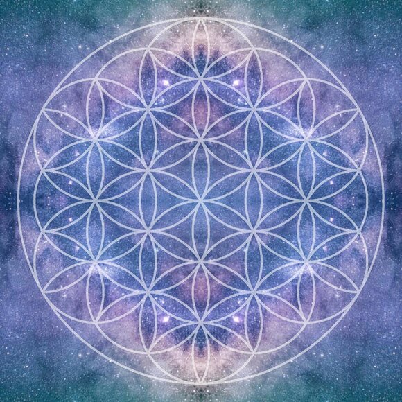 Meet your Posher, Nicki - Picture 1 of 1